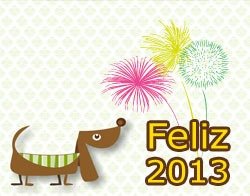 cao_cidadao_2013