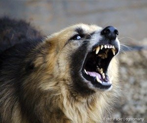 palestra-pcm-agressividade_interna