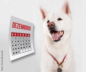 agenda-dezembro_interna
