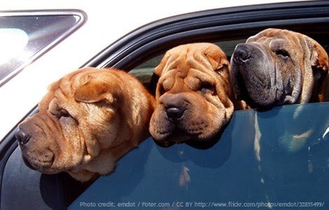 viagem-carro