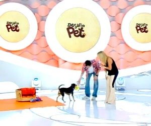 desafio-pet_interna