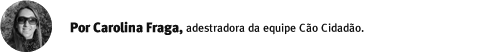 blog-autor-carolina-fraga