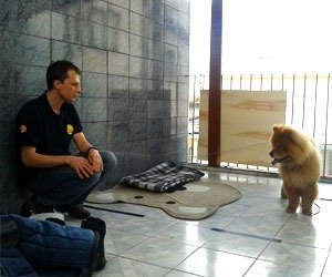 desafio-pet-1_interna