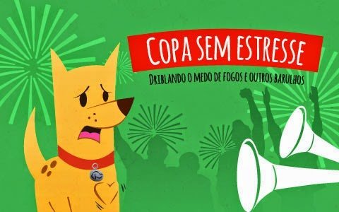 medo-de-fogos