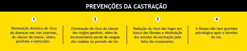 box-castracao