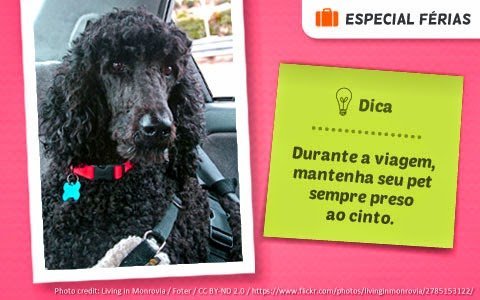 ferias-dicas-carro