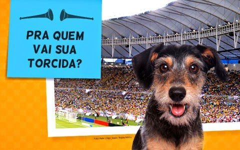 final-copa