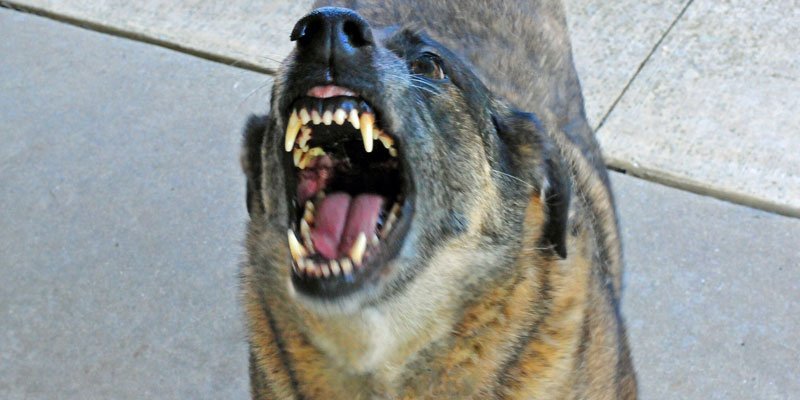 Photo credit: warriorwoman531 / Foter / CC BY-ND