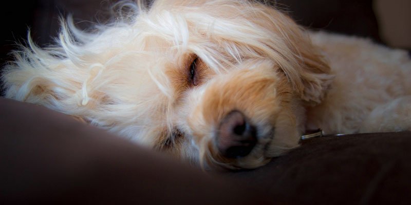 Photo credit: NickiMM / Foter / CC BY