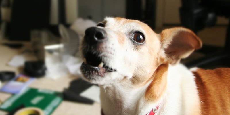Photo credit: hello yoshi / Foter / CC BY-ND