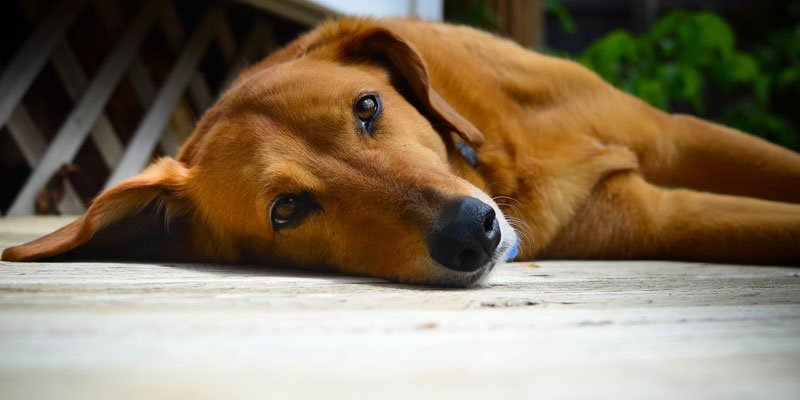 Photo credit: angela n. / Foter / CC BY