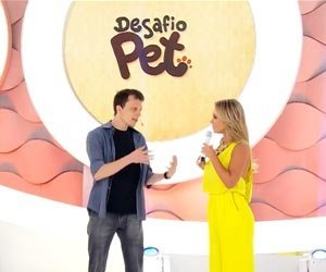 desafio-pet