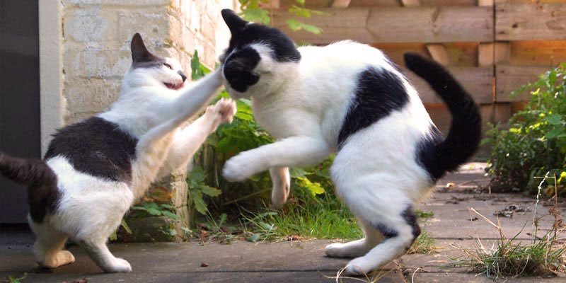 Photo credit: ajbunsby / Source / CC BY