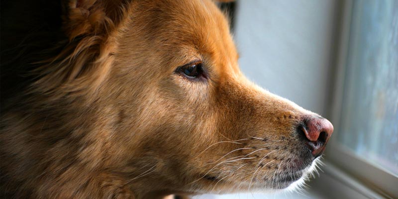 Photo credit: nan palmero / Foter / CC BY