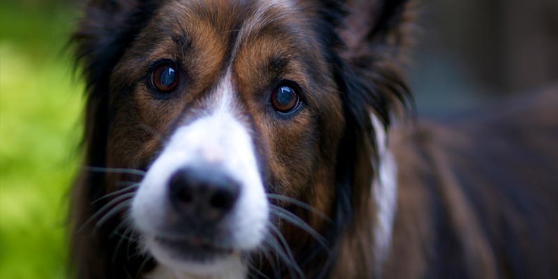 Photo credit: Nick Harris1 / Foter / CC BY-ND