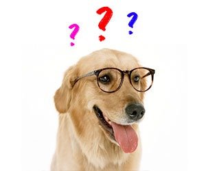 noticia-interno-resultado-quiz