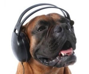 noticias_interna-expediente