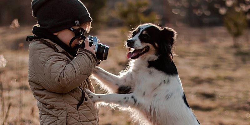 dicas-interna-criancas-e-pets