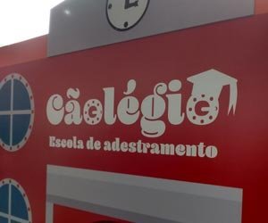 noticias_interna-caolegio