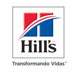 adestramento com a cao cidadao e com a hills é sempre melhor