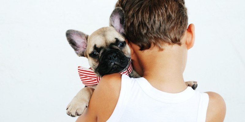Como os cachorros entendem nossos sentimentos?