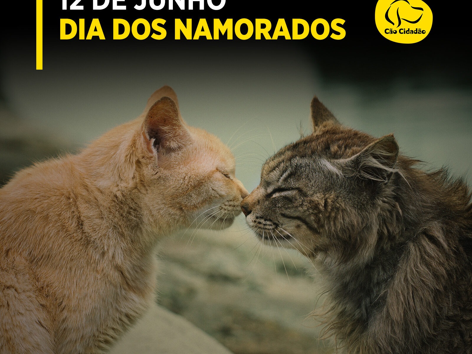 CAO-CIDADAO_DIA_DOS-NAMORADOS